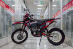 BSE T8 Red Bear (015)