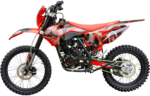 BSE Z1 Dragon Black
