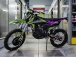 Progasi GAUDI 300 (ZS CBS300) Purple/Green