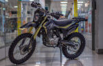 BSE Z3 21/18 Gold Black (130)