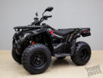 VOGE XWOLF 200