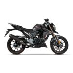 Regulmoto T-Leopard 300 (ЧЕРНЫЙ)